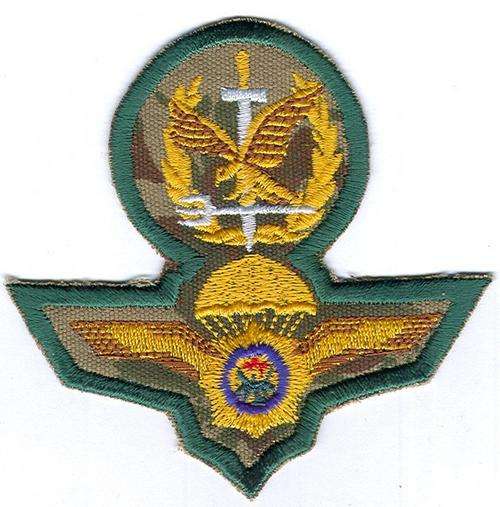 SA Police Special Task Force Operator Wings