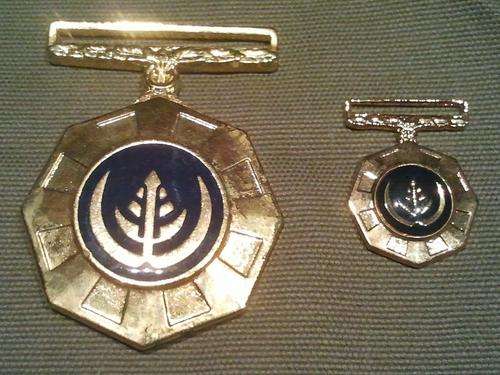 Pro Patria Medal - Full size numbered & miniature - No ribbons