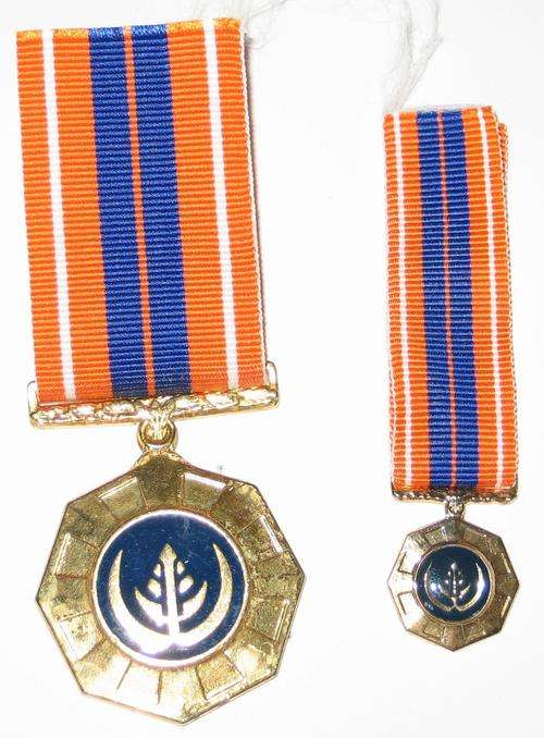 Pro Patria Medals - Full Size and Miniature