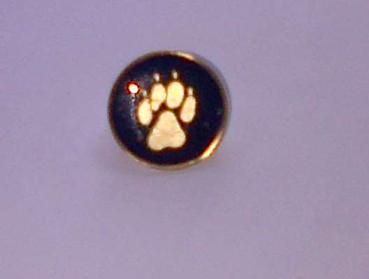 SA Police K9 Tracker Pin
