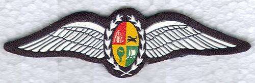 SAAF Pilot Wings (Rubberised 2 Pins)