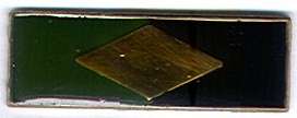 SWATF Infantry Beret Bar