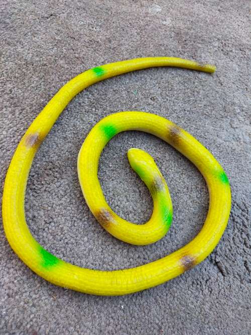 toy snake