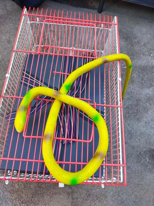 toy snake