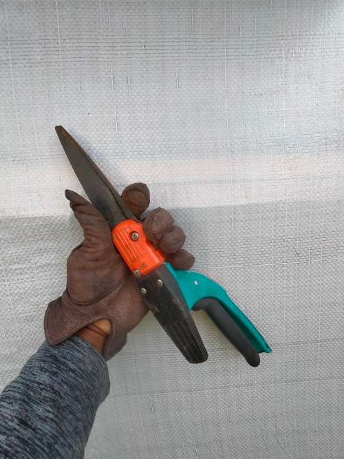 Gardena trimming scissors
