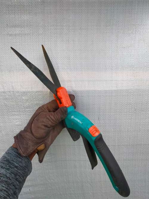 Gardena trimming scissors