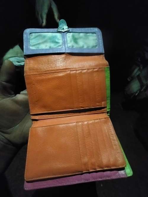 Michael Angelo purse