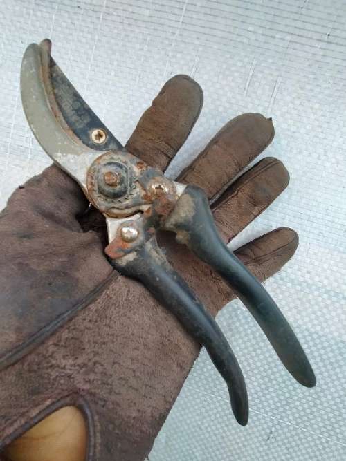 garden hand tool