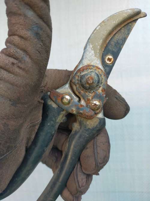 garden hand tool