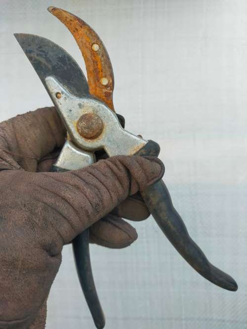 garden hand tool