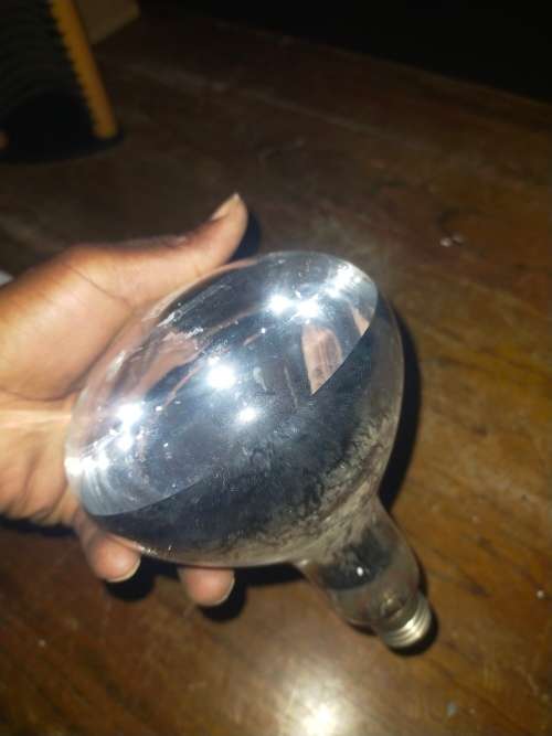 heater light bulb (lamp)