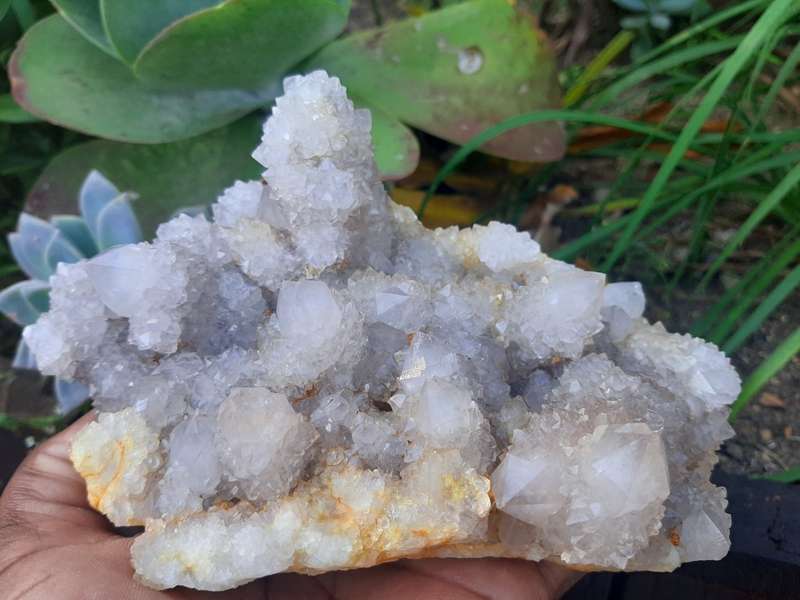 WHITE SPIRIT QUARTZ CLUSTER  1.205kg