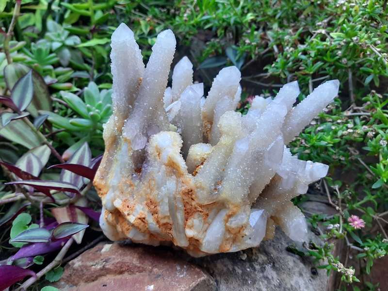 WHITE SPIRIT QUARTZ  CLUSTER 2.530kg