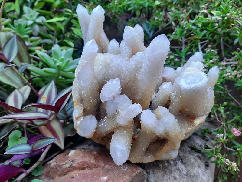 WHITE SPIRIT QUARTZ  CLUSTER 2.530kg