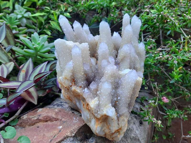 WHITE SPIRIT QUARTZ  CLUSTER 2.530kg