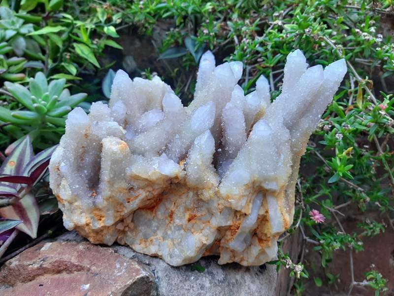 WHITE SPIRIT QUARTZ  CLUSTER 2.530kg