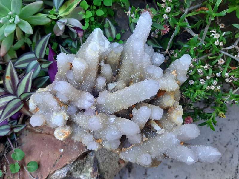 WHITE SPIRIT QUARTZ  CLUSTER 2.530kg