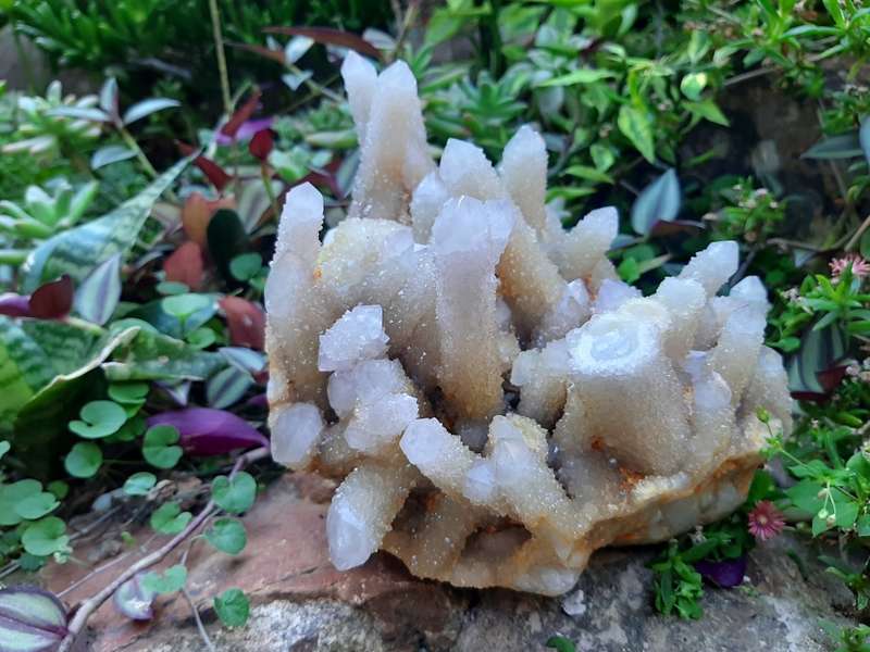 WHITE SPIRIT QUARTZ  CLUSTER 2.530kg