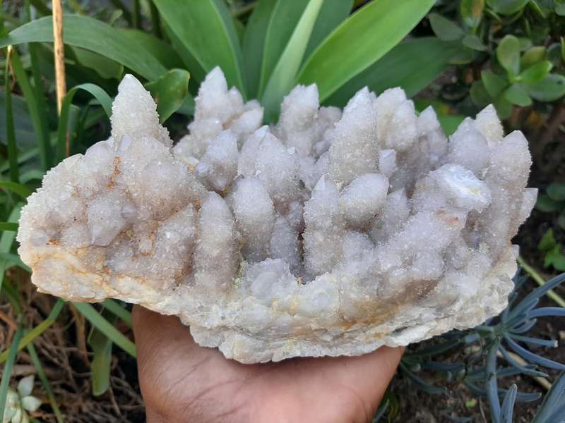 WHITE SPIRIT QUARTZ BIG CLUSTER  2.660kg