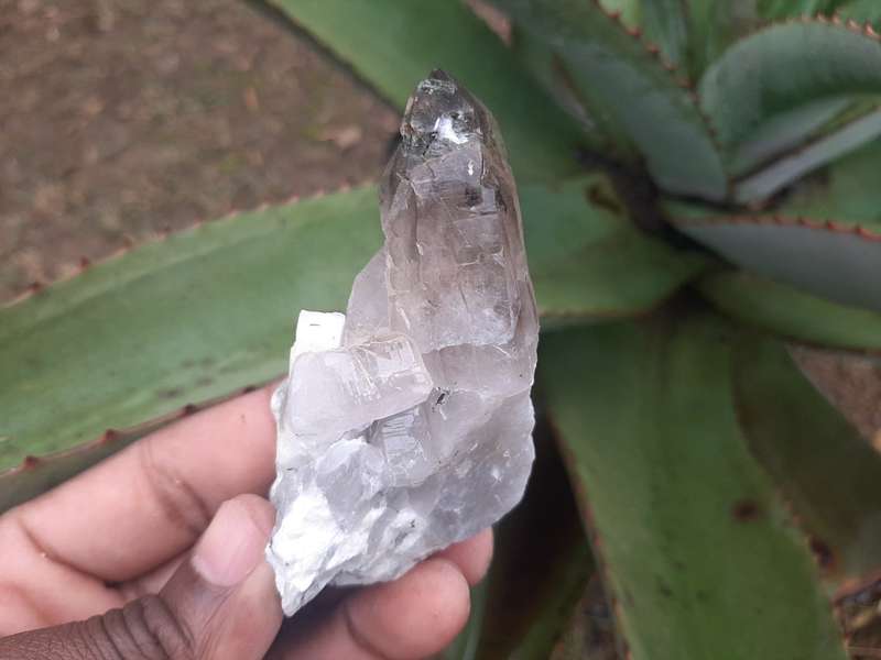 SMOKEY QUARTZ CRYSTALS