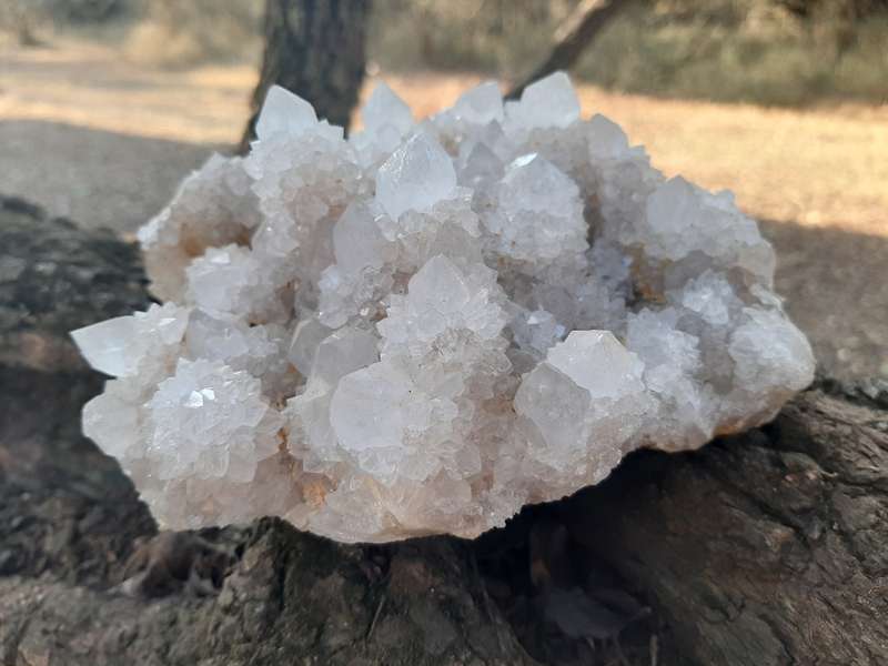 WHITE SPIRIT QUARTZ CLUSTER 1.395kg