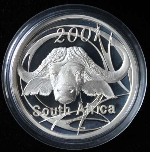 TWO OUNCES Sterling SILVER 50c *** The AFRICAN BUFFALO - 2001 *** SILVER WILDLIFE Series