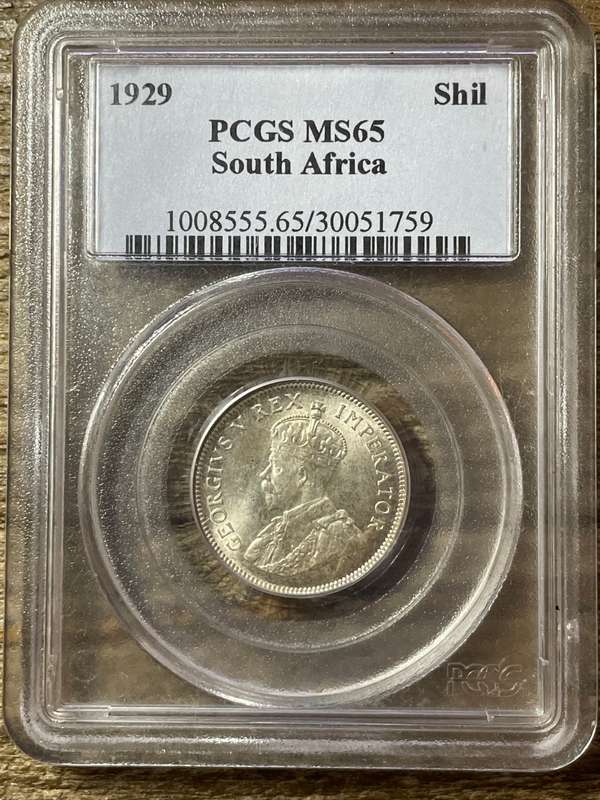 1929 * shilling  * MS65 only 3 better at the ngc