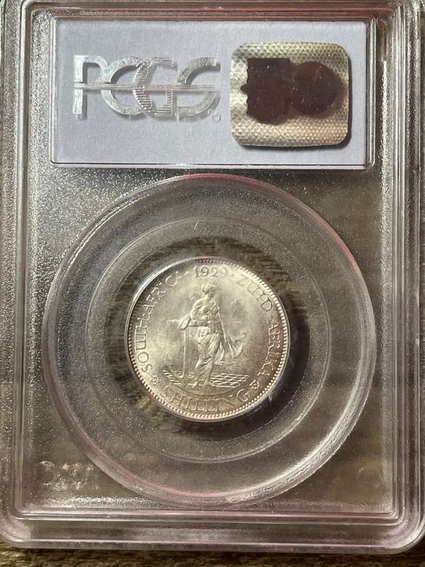 1929 * shilling  * MS65 only 3 better at the ngc