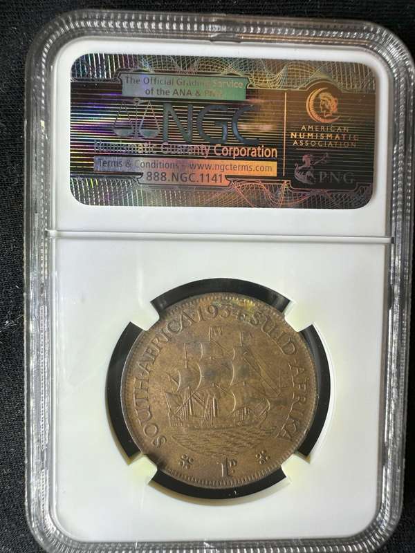 1934***Penny***AU details ***env damage
