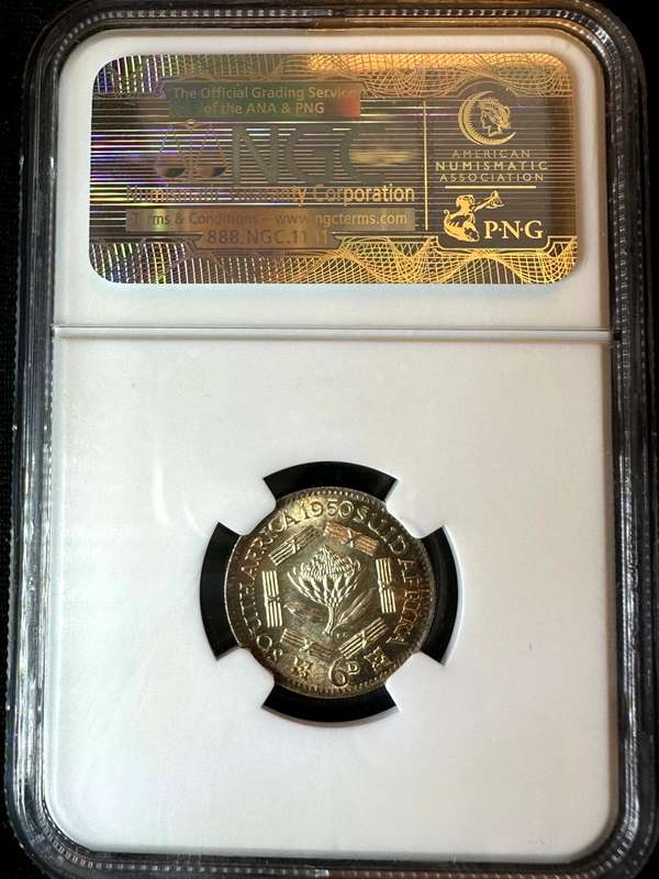 1950***6P***MS64***NGC