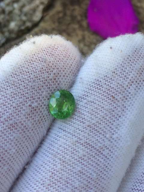 Natural 1.03 Ct Tsavorite Garnet ( Certified )