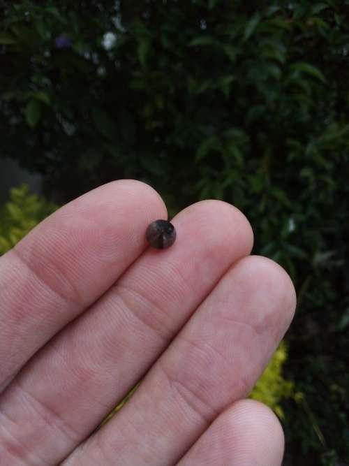0.80 Ct Natural Earth Mined Black Diamond