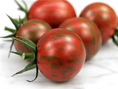 TOMATOES - "TIGERELLA" BUMBLEBEE STRIPED TOMATO - 10 SEEDS