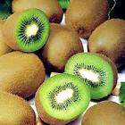 KIWI-FRUIT GROWING KIT