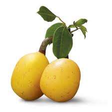 MARULA SEEDS (FRUIT USED FOR AMARULA)