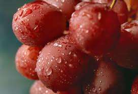 HEIRLOOM - RED GRAPE SEED PACK