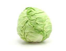 HEIRLOOM VEGETABLE SEEDS - GARDEN CABBAGE SEED PACK - 20 SEEDS