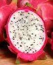 WEIRD FRUITS - RED DRAGONFRUIT SEED PACK