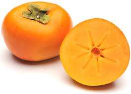 WEIRD FRUITS -  SHARON FRUIT SEED KIT