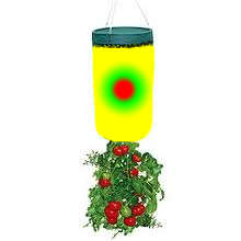 BOTTOMS UP TOMATO PLANTER WITH SEEDS AND INSTRUCTIONS