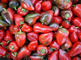 CHILLIES - MADAGASCAN  PIMENTO CHLLI SEEDS