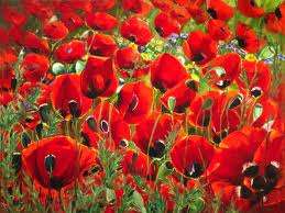 RED POPPY SEEDS