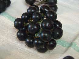 BERRIES - HUCKLEBERRY SEED PACK