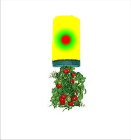 BOTTOMS UP TOMATO PLANTER WITH SEEDS AND INSTRUCTIONS