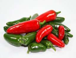 JALAPENO CHILLI SEED KIT