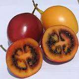 WEIRD EXOTIC FRUITS - TAMARILLO SEED PACK