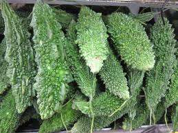 WEIRD VEGETABLES  - KARELA SEEDS