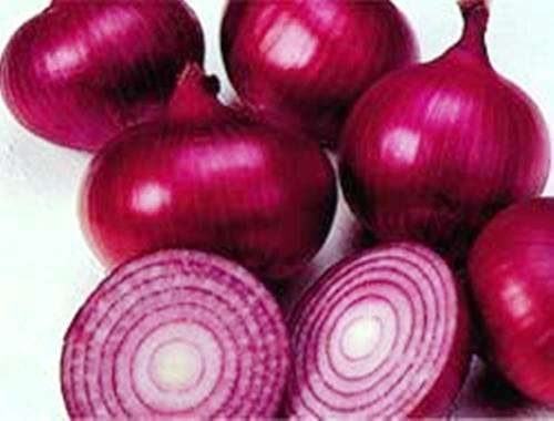 HEIRLOOM VEGETABLE SEEDS - RED CREOLE ONION SEEDS (10)