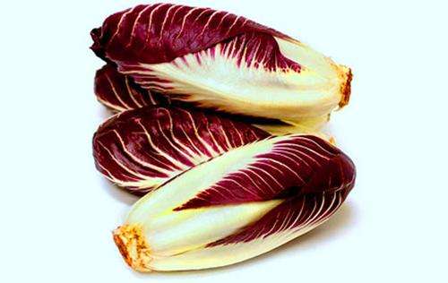 HEIRLOOM VEGETABLE - PALLA ROSSA RADICCHIO SEEDS - 20 seeds