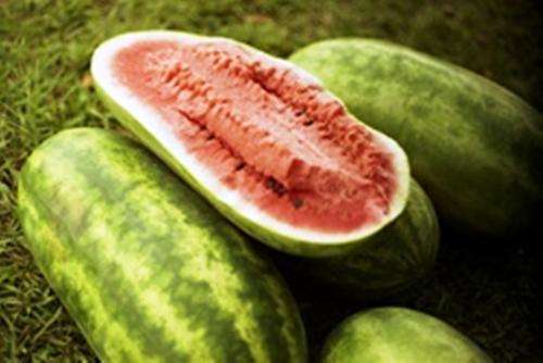 ALLSWEET WATERMELON SEEDS (10)